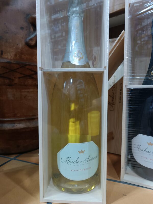 Franciacorta DOCG Blanc de Blancs Tenuta Montenisa- Marchese Antinori